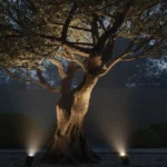 Adjustable-LED-Spike-Garden-Light-Weatherproof Premium Spike Garden Light: Adjustable black architectural LED ground spot with IP65 waterproof rating for luxury landscape and shrubbery lighting in India.